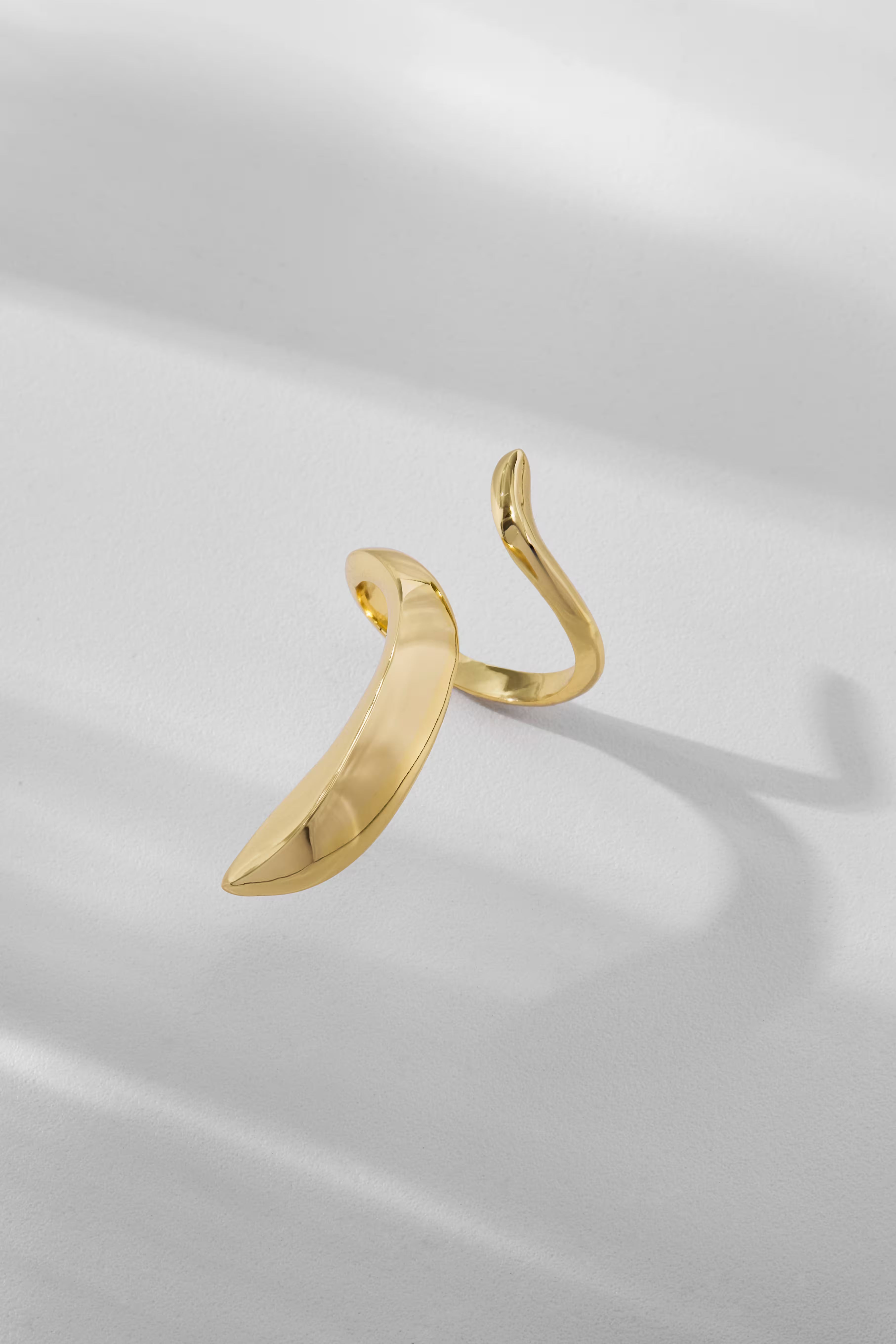 Dualis Ring