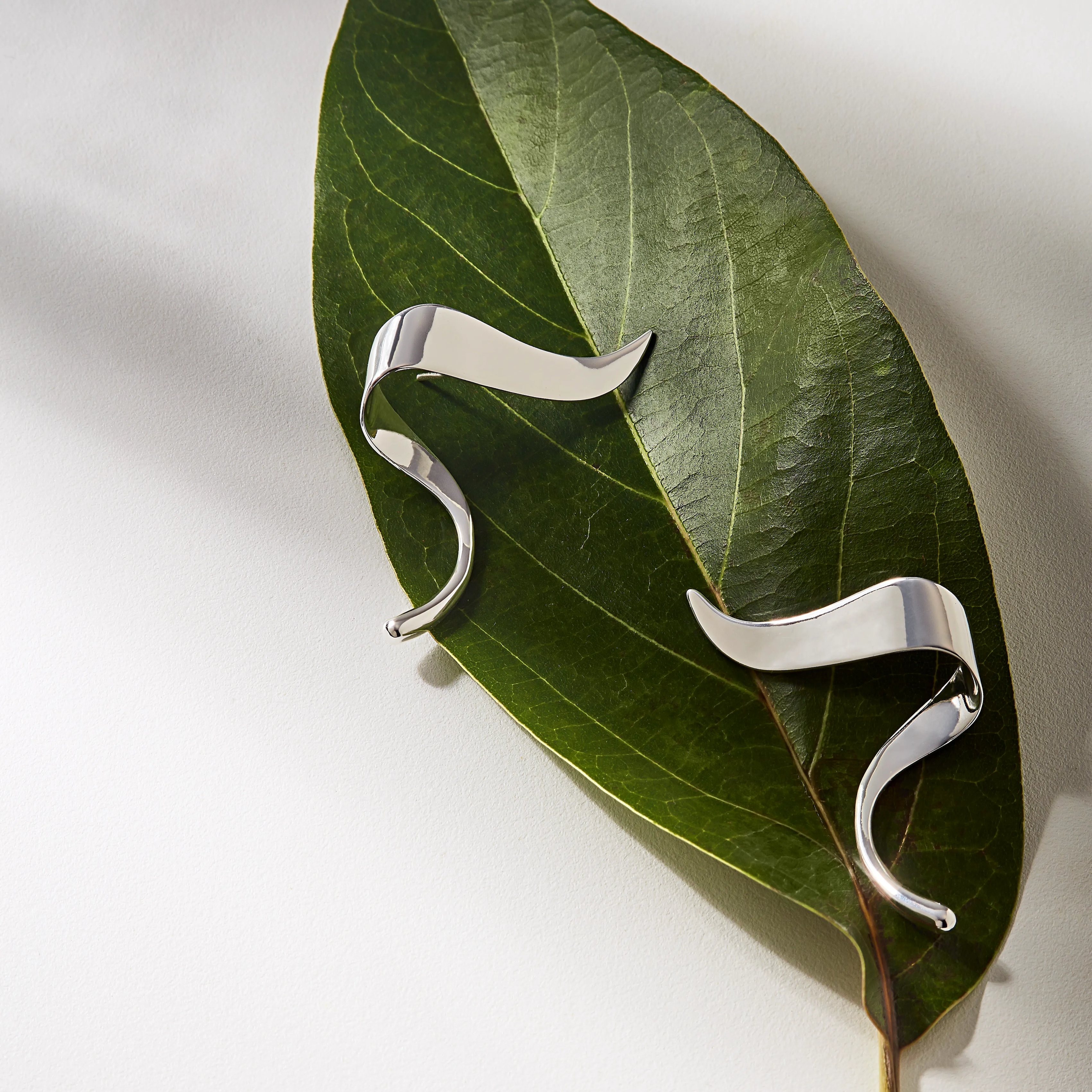 Renata Earring