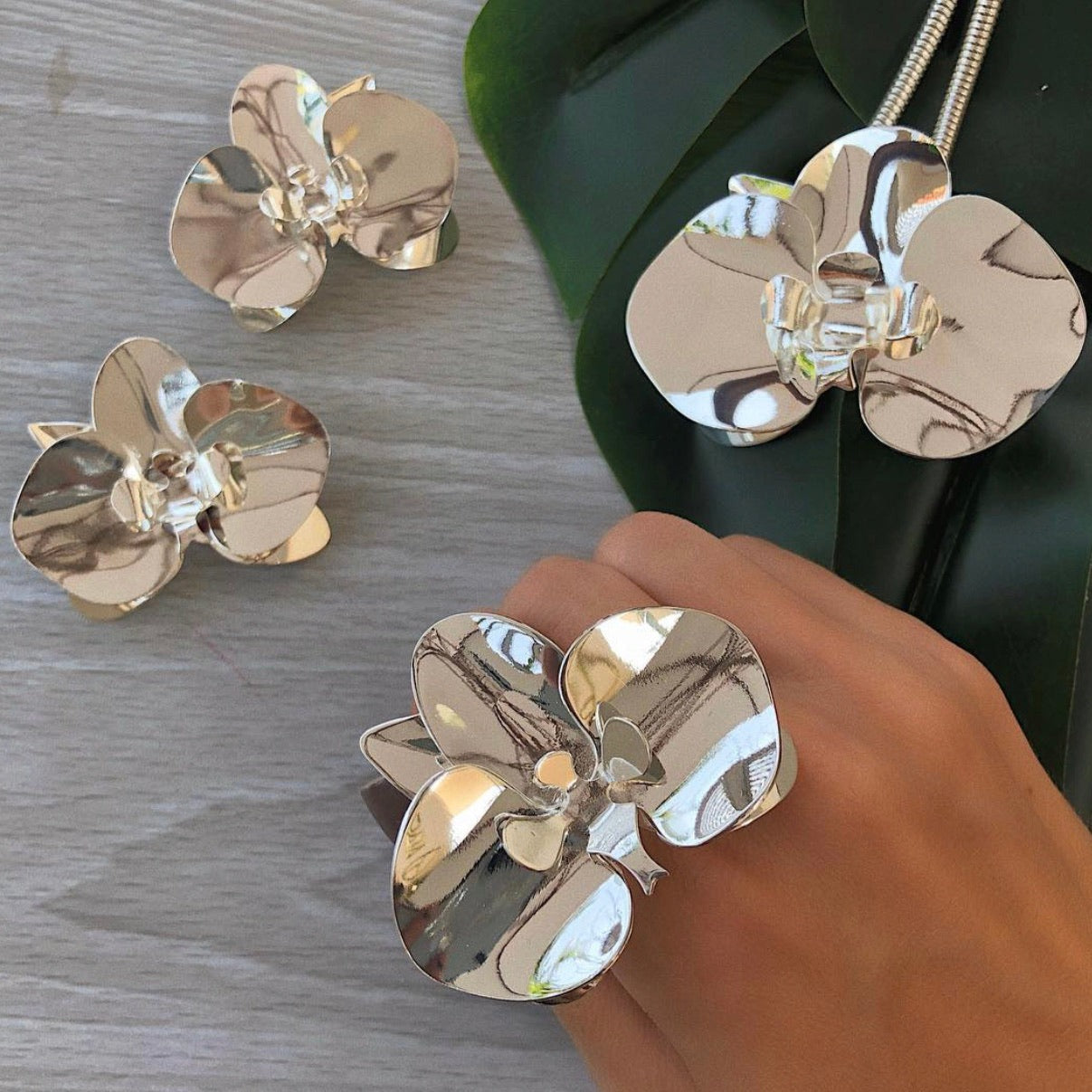 Orquídea Ring