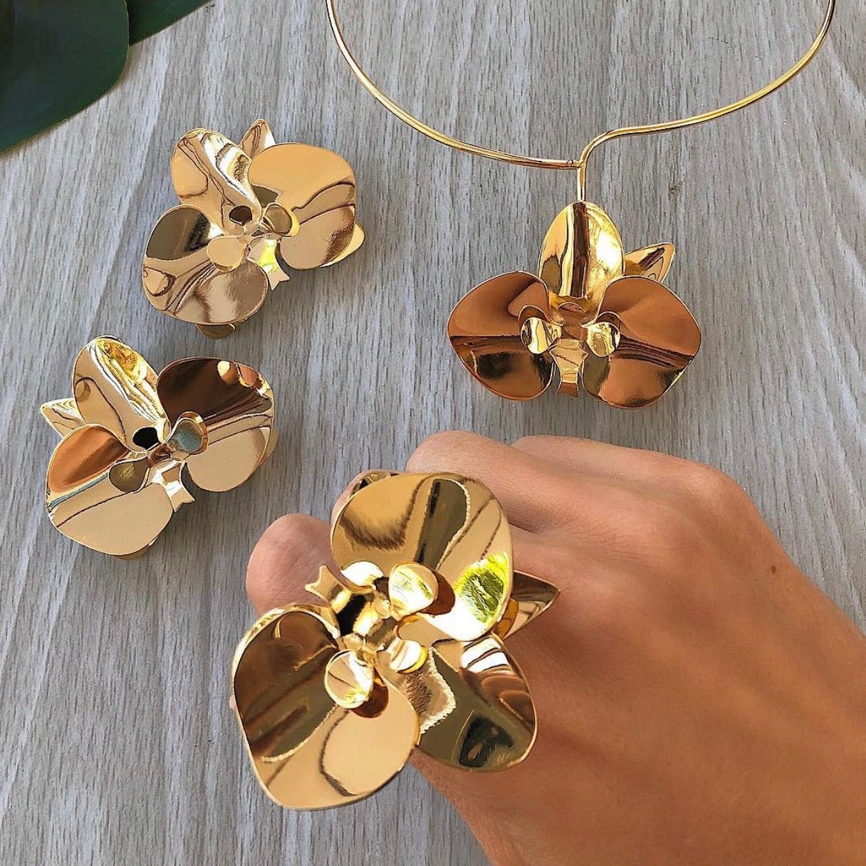 Orquídea Ring