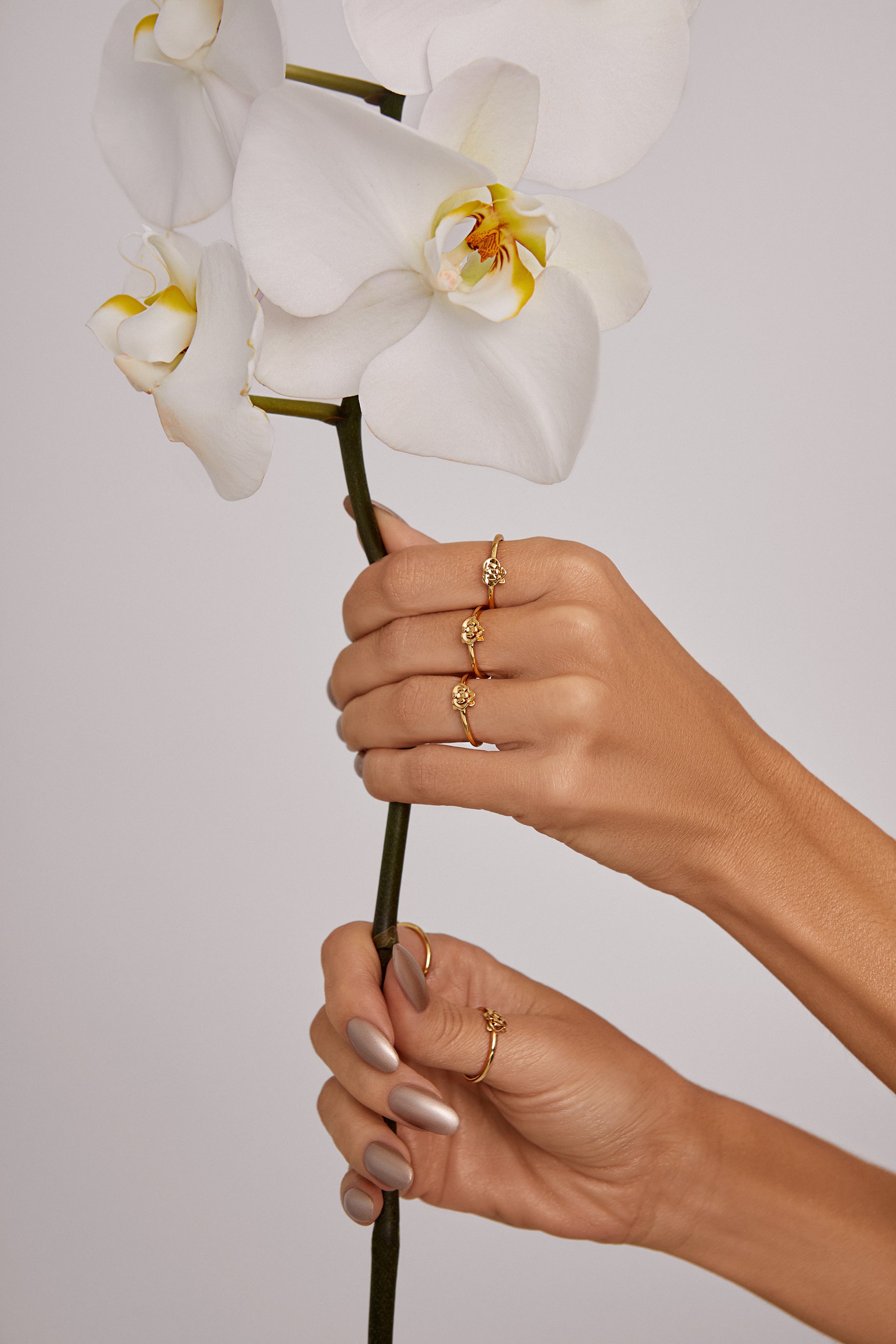 Orquídea Small Gold Ring