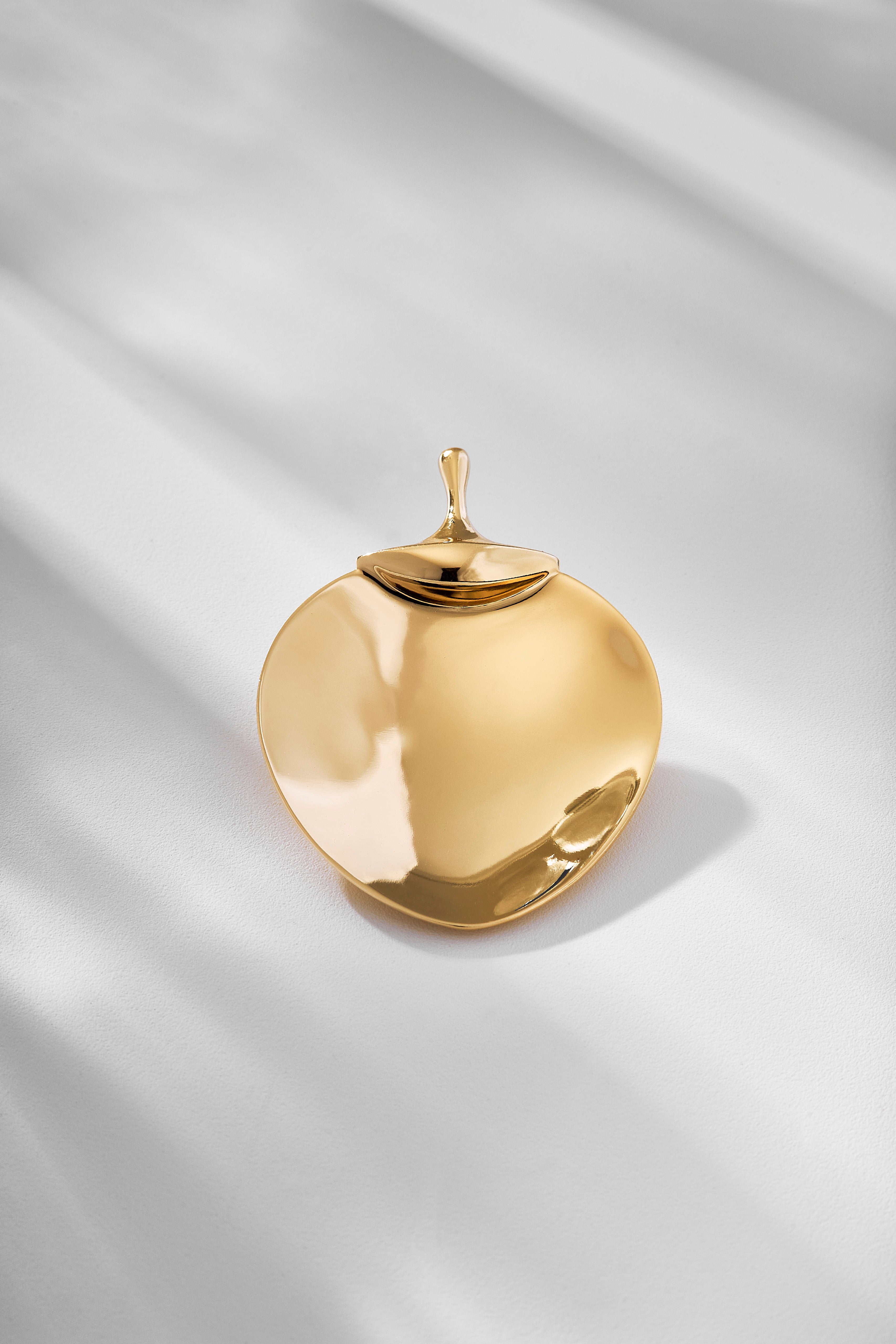 Chuva Brooch